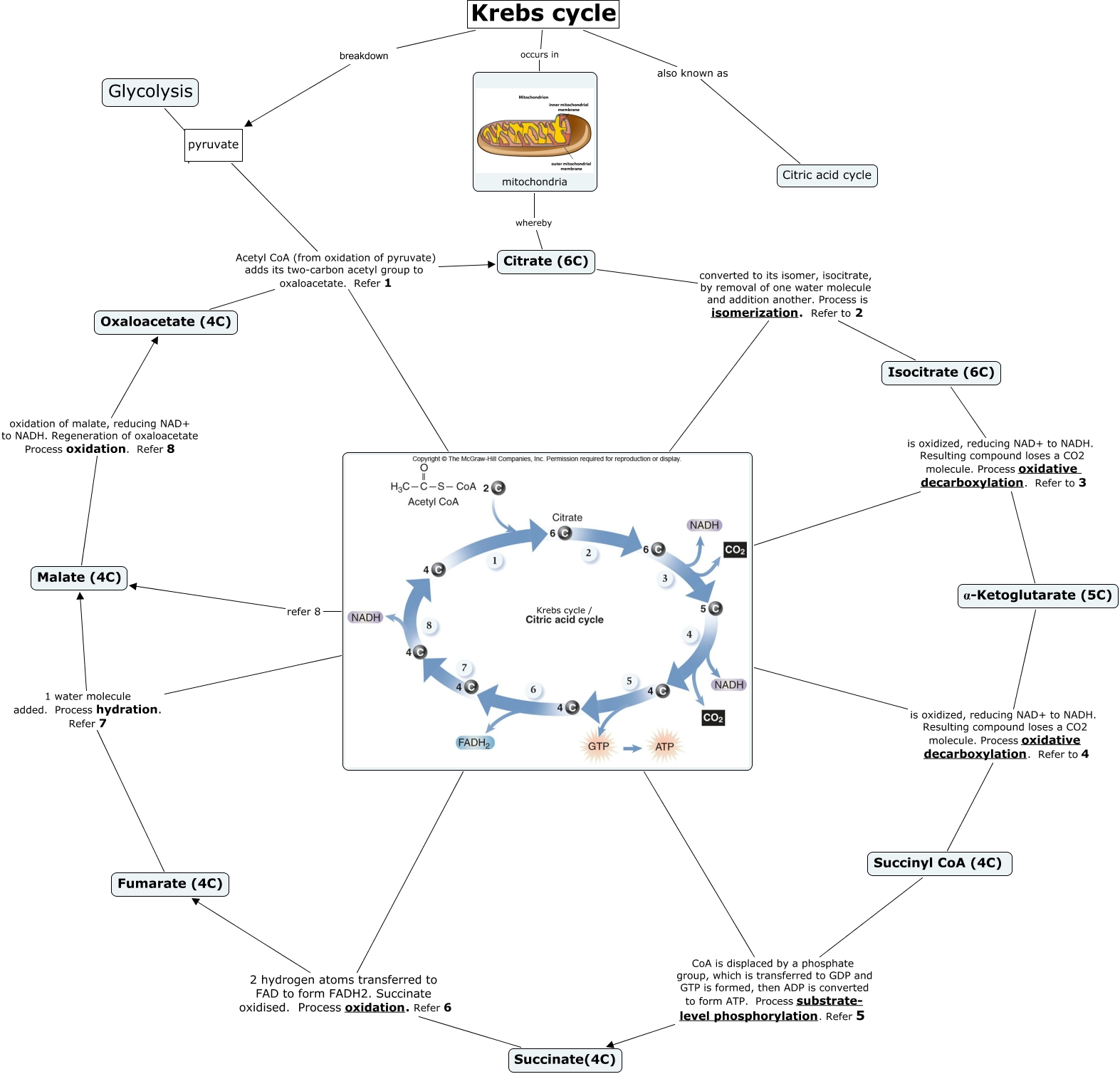 krebs cycle 2012